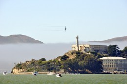 Raptor flying over Alcatraz