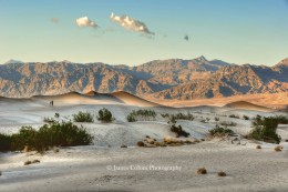 Death Valley: Mesquite Sand Dunes