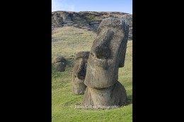 Abandoned on the way from Rano Raraku