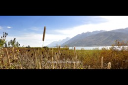 Grand Teton: Jackson Lake