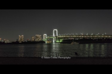 Rainbow Bridge at night, Tokyo