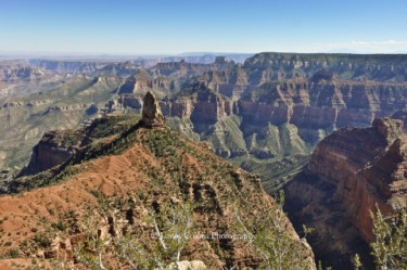 Grand Canyon: View from North Rim