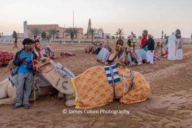 Bedouin with camel and the Al Marmoom racing track, outside Dubai, UAE
