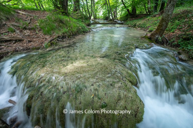 Water flowing over trees at Plitvice Lakes National Park, Croatia