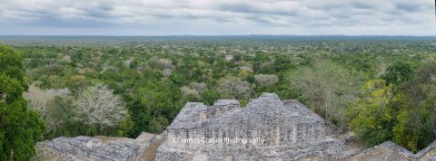 View from Calakmul Maya Pyramid Structure 2, Campeche, Mexico
